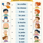 Fiches illustratives des parties du corps pour enfants