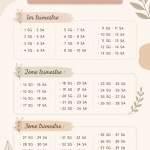 Calendrier de grossesse personnalisé avec des illustrations douces de bébés et de motifs floraux.