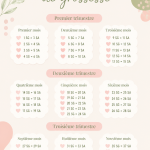 Calendrier de grossesse illustré avec les semaines et étapes clés.