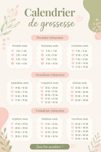 Calendrier de grossesse illustré avec les semaines et étapes clés.