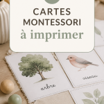 Un ensemble de cartes Montessori colorées prêtes à être imprimées pour l'apprentissage des enfants.