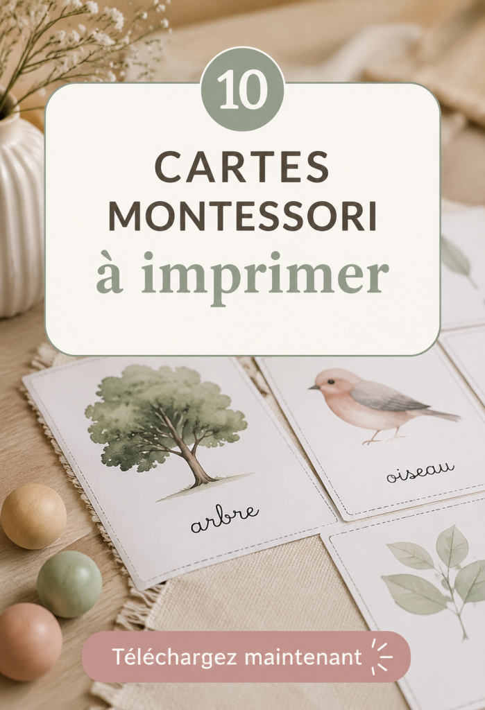 Un ensemble de cartes Montessori colorées prêtes à être imprimées pour l'apprentissage des enfants.