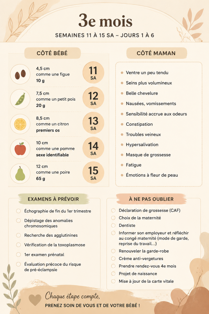 Femme enceinte souriante entourée d’accessoires de maternité, représentant les différentes étapes de grossesse.