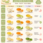 Repas sain pour un bébé de 6 mois, avec purée de légumes et fruits