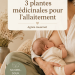 Plantes médicinales pour soutenir l'allaitement, telles que le fenouil et le chardon-Marie.