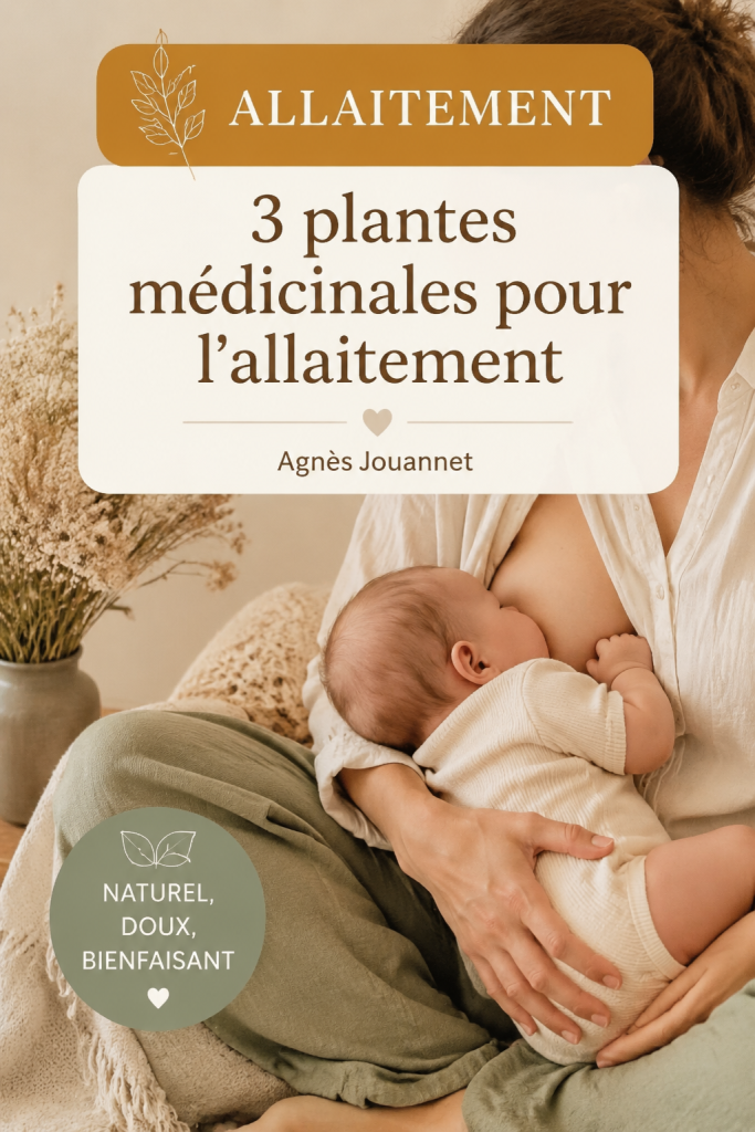 Plantes médicinales pour soutenir l'allaitement, telles que le fenouil et le chardon-Marie.