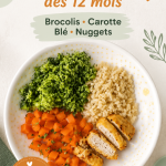 Assiette colorée de brocoli, carottes, blé et nuggets pour bébé