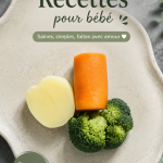 Assiette de purée pour bébés faite maison avec des légumes et des fruits