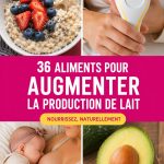 Un assortiment d'aliments sains pour favoriser la lactation chez les mères qui allaitent.