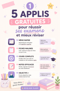 Capture d'écran d'une application de révision sur un smartphone affichant des flashcards.