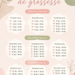 Calendrier de grossesse personnalisé avec les étapes clés à travers chaque mois.
