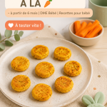 Croquettes de carotte pour bébé sur une assiette colorée