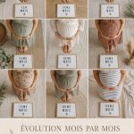 Illustration d'une femme enceinte montrant l'évolution de sa grossesse mois par mois.