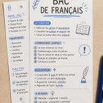 Fiches de révision pour le BAC de Français avec des notes structurées et claires.