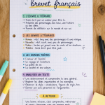 Un étudiant utilisant une fiche de révision pour le brevet de français en 2026.