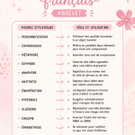 Fiche de révision de français pour le brevet, avec des notes bien organisées.