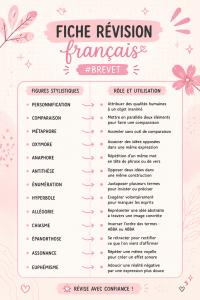 Fiche de révision de français pour le brevet, avec des notes bien organisées.