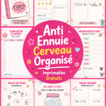 Un exemple de planner étudiant à imprimer pour aider à organiser le travail scolaire.