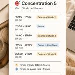 Un étudiant étudiant en soirée avec un planning d'étude
