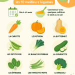 Assiette de purée de légumes colorée pour bébé, mettant en avant les meilleurs ingrédients nutritifs.