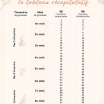 Tableau récapitulatif illustrant les semaines de grossesse avec des descriptions adaptées aux mamans.