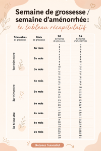 Tableau récapitulatif illustrant les semaines de grossesse avec des descriptions adaptées aux mamans.