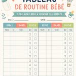 Un emploi du temps coloré pour aider bébé à établir une routine quotidienne.