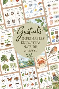 Enfant utilisant des imprimés éducatifs sur la nature à la maison.