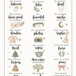 Un livre de naissance ouvert montrant des photos de bébé et des souvenirs