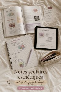 Image de notes scolaires esthétiques sur un bureau avec des fournitures colorées.