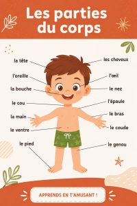 Illustration représentant les différentes parties du corps humain, incluant la tête, les bras et les jambes.