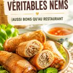 Une assiette de nems croustillants faits maison, parfaite pour un repas familiale.