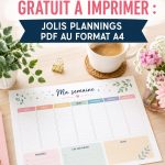 Un semainier élégant imprimable qui aide à organiser son emploi du temps