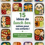 Des lunch boxes colorées et saines pour enfants, remplies de fruits et légumes.