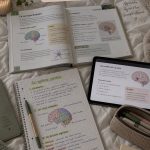 Étudiant prenant des notes esthétiques sur un carnet avec des stylos colorés